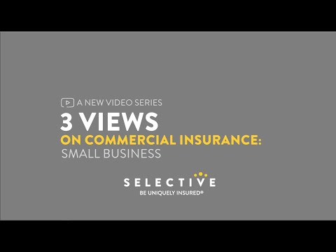 3 Views  on Commercial Insurance: Small Business