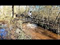 Tearing Out 5 Beaver Dams By Hand On Martin Luther King Jr Day! Part 2!