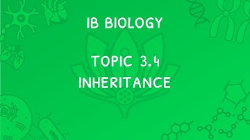 IB Biology Topic 3.4: Punnet Grids, Mendel, Autosome-linkage, Co-dominance & Pedigree Charts