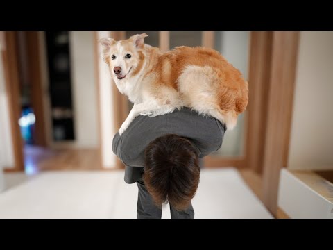 죄송합니다...도저히 못할 것 같아요.......