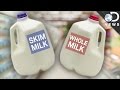 Whole vs. Skim: Which Milk Is Better For You?