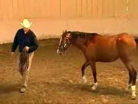 Doma Racional-Monty Roberts