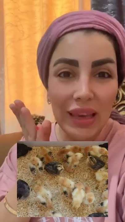 #funny #سبسکرايب #subscribe #viralvideo #طنز_ایرانی #طنز_فارسی #ویدیو_کوتاه #comedymove #comedyfilms