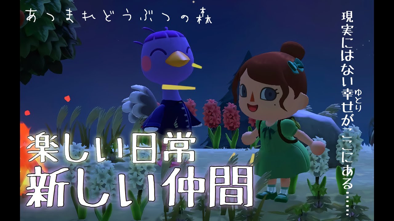 あつまれどうぶつの森 島整備しながらまったり雑談 新住人かわいいでしょ あつ森 Yayafa