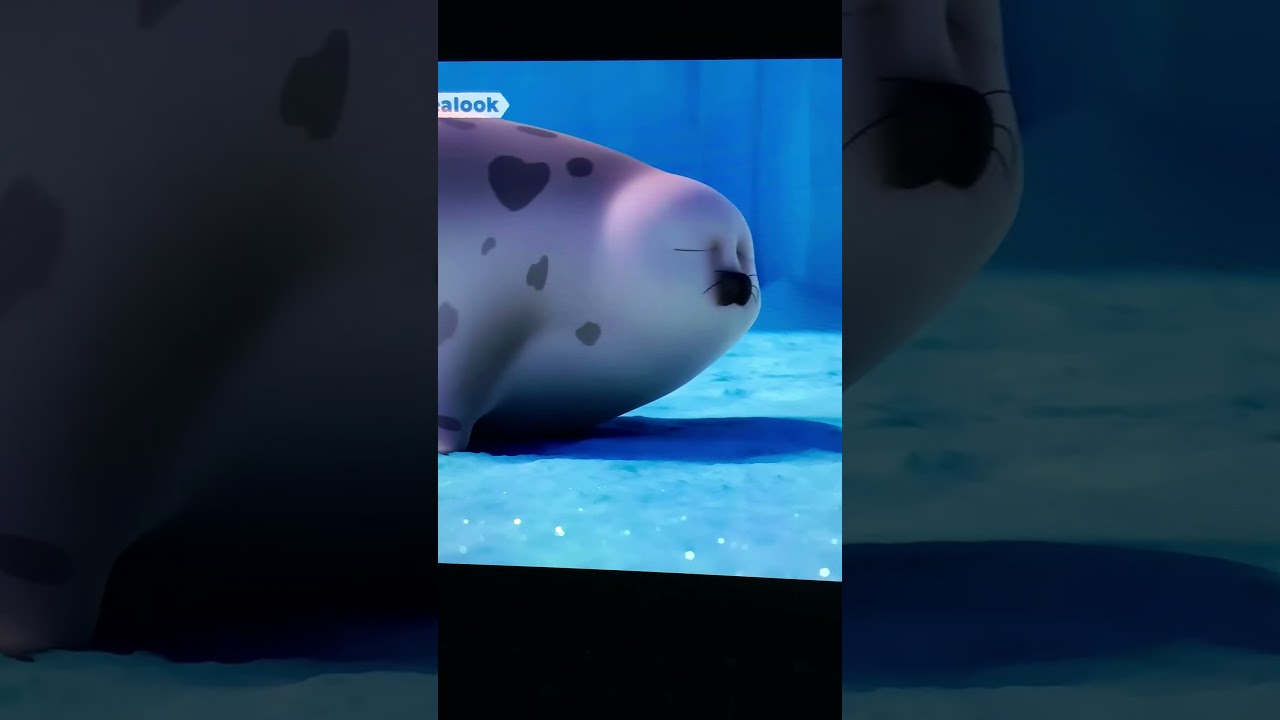 Ghost Seal Saw Glutton Seal Yawning 