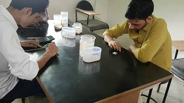 Rice Quality Training Lab | Master
