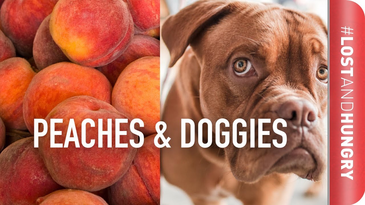 What to Eat in Atlanta - Peaches, Peaches & more Peaches #LostAndHungry | Sorted Food