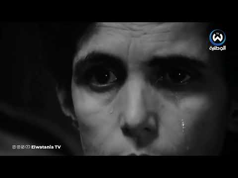 طفل معركة الجزائر عمر ياسف