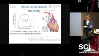 Simulation-based treatment planning in pediatric cardiology screenshot 5