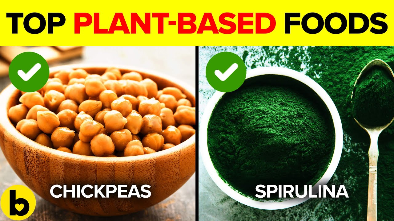 Top 12 Plant-Based Protein Foods!