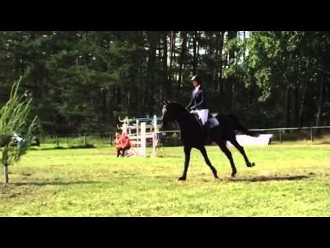 New Barnabas S - For Sale / Zum Verkauf