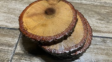 How To Make Coasters From a Tree Branch