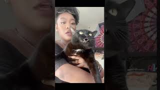 Cats that can talk #foryou #cat #reels #funny