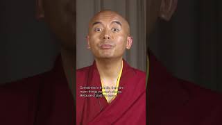 Happy Lhabab Duchen from Mingyur Rinpoche!