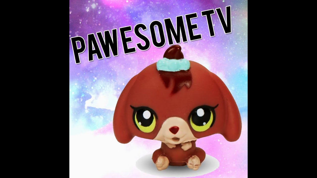 PAWSOMETV FACE REVEAL!!! - YouTube