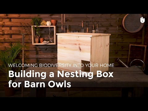 วีดีโอ: Owl Box Plans - เรียนรู้เกี่ยวกับการออกแบบบ้านนกฮูกและการวางกล่องรังนก