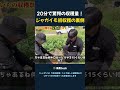 20分で驚愕の収穫量！ ジャガイモ初収穫の裏側