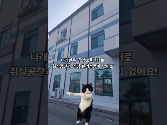 미디어센터와 함께 둘러보는 해란캠퍼스! 같이 가볼까요?