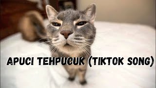 Apuci Teh Puck (Tiktok Viral song) FullVersion