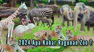 UPDATE TERKINI RAGUNAN ZOO JAKARTA ~ Kebun Binatang Ragunan Terbaru