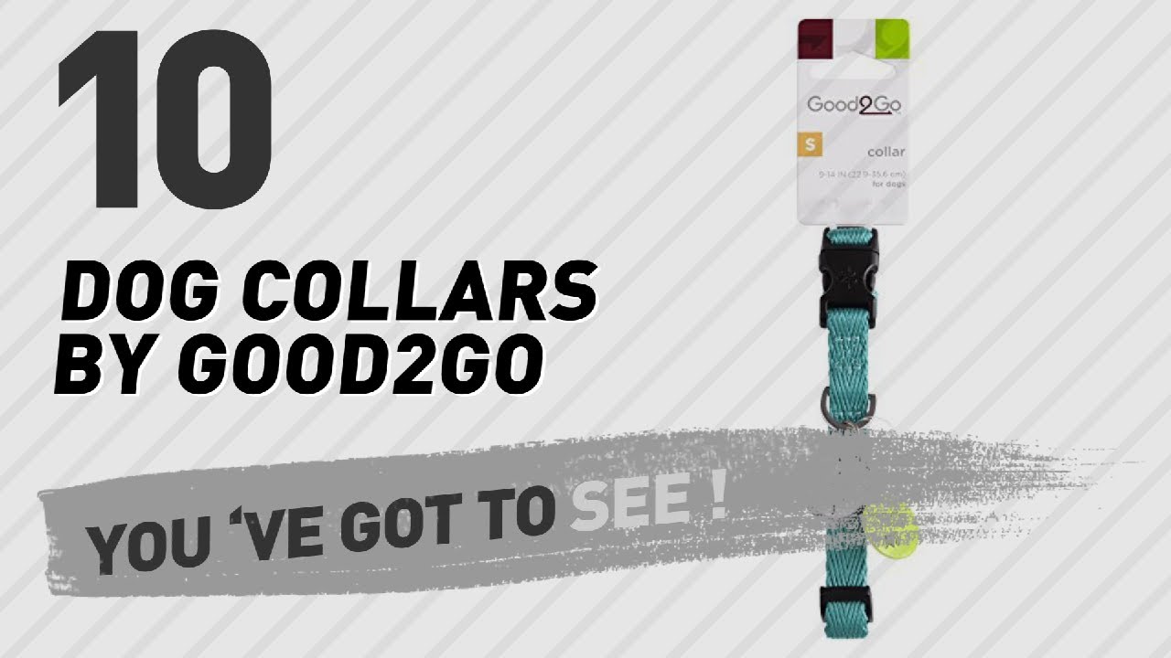 cats inn Dog Collars By Good2Go // Top 10 Most Popular