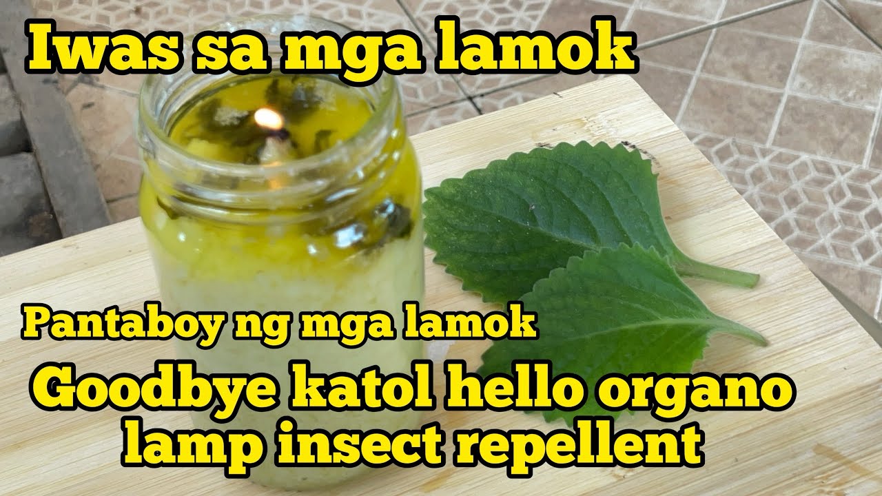 Anti Dengue ITO PALA ANG KONTRA SA MGA LAMOK PAG GAWA NG OREGANO
