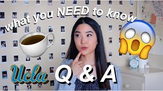 answering your BIGGEST questions about UCLA!! I Q&A