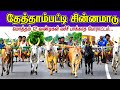 தேத்தாம்பட்டி சின்னமாடு #krish_studio_kattumavadi