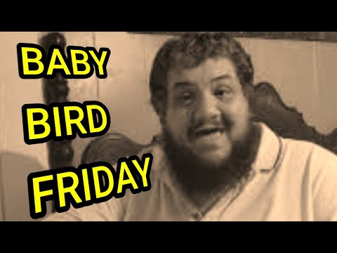 baby birds are called BABY LOVEBIRDS PRETEND TO BE BUTTERFLIES