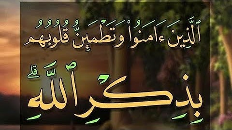 سورة الرعد وإبراهيم تراويح شهر رمضان ١٤٤٣ه..