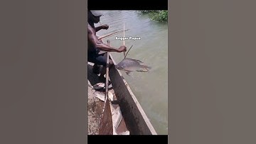 Amazing! Right on target #shorts