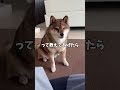 イオンに馬がいたと思ったら…