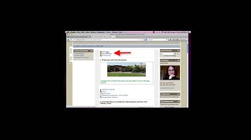 Introduction to Moodle for LIB 101 (HD)
