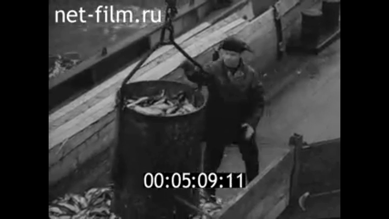 1963г. Калининград. рефрижератор "Братск". Северная Атлантика - YouTube