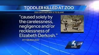 Pittsburgh Zoo blames mother of boy who died in African painted dogs exhibit