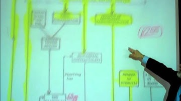CARDIOVASCULAR PHYSIOLOGY; PART 2 by Professor Fink.wmv