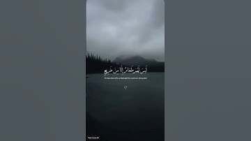 قرآن كريم سورة الغاشية القارئ عبد رحمن مسعد راحة نفسية ❤❤❤❤❤🎧🎧😴😴