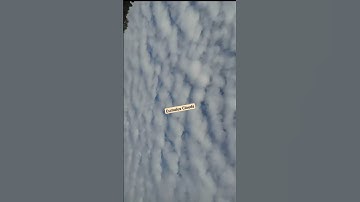 Cumulus Cloud