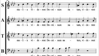 Victoria - O Magnum Mysterium - A flat - Alto