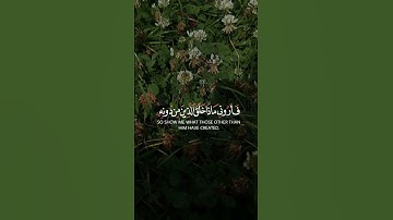 هذا خلق الله sourate Luqman Verset 11 سورة لقمان آية ١١ #coran #القرآن_الكريم #المصحف