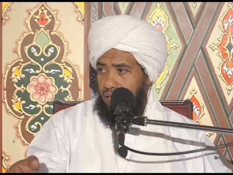 لا ينهاكم الله عن الذين لم يقاتلوكم في الدين د عبدالحي يوسف