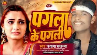 | पगला के पगली | Pagla Ke Pagli #ShyamSajanma |  श्याम सजन्मा  #SadSong #BDMUSIC - Maithili sad song