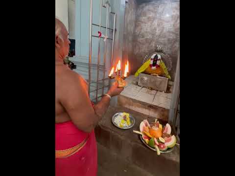Lord Ganesh Morning Puja @ Munneshwaram Maha Devasthanam