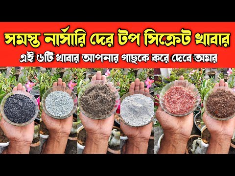 ভিডিও: জৈব খাবার খাওয়ার টি উপায়