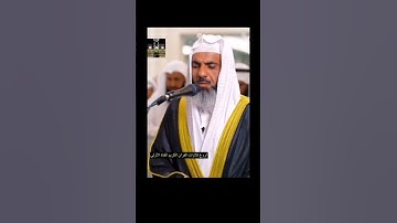 #عمر_عبدالله #تلاوةعراقية #تلاوات #قران_كريم #تلاوة_هادئة #قرآن #تجويدعراقي #تلاوةخاشعة