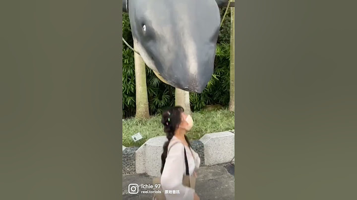兩個大人玩遊樂園比小孩子認真