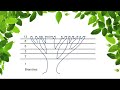 How to draw a tree using the Fibonacci Sequence (Natures Numbers)