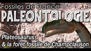 Plateosaurus  et la forêt fossile de Champclauson