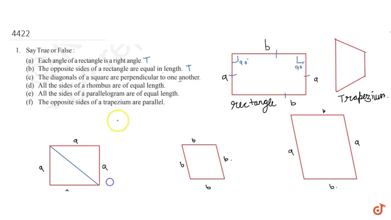 Perpendicular Sides Of A Rectangle