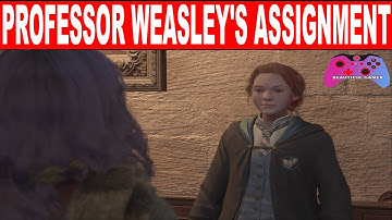 Hogwarts Legacy PROFESSOR WEASLEY